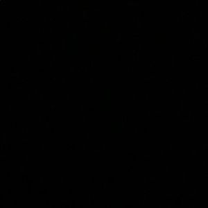 Meet your Posher, Dora